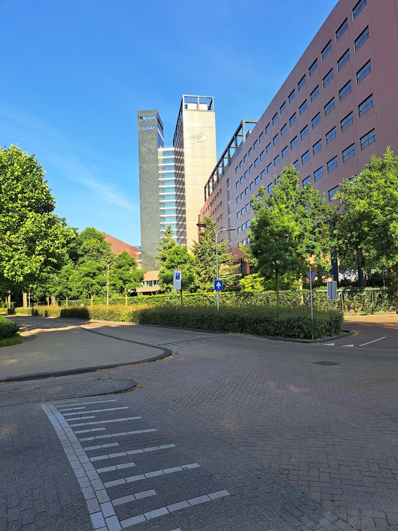 Interpolis | Vragen over verzekeringen