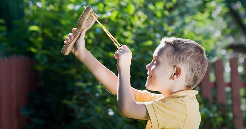 Hoekstra en van Eck Verzekeringen